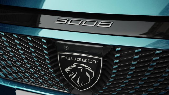 PEUGEOT 3008 usata, con Climatizzatore