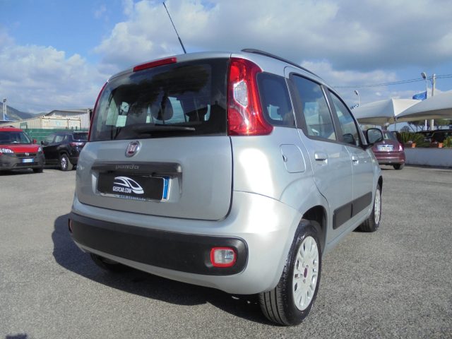 FIAT Panda usata 12