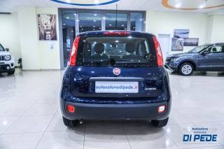 FIAT Panda usata, con Antifurto