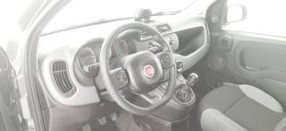 FIAT Panda usata 51