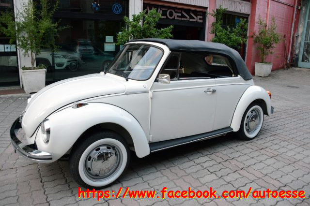 VOLKSWAGEN Maggiolone usata 17