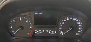 FORD Fiesta usata, con Cruise Control