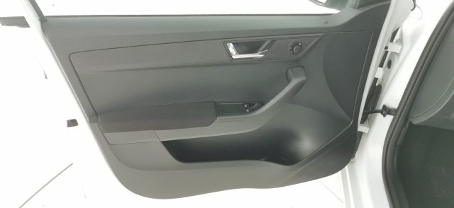 SKODA Fabia usata 50