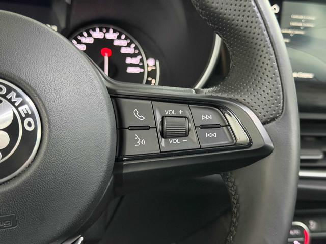 ALFA ROMEO Stelvio usata 18