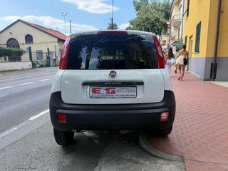FIAT Panda usata, con Immobilizzatore elettronico