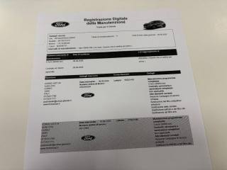 FORD Puma usata, con Bracciolo