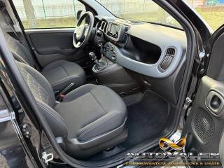 FIAT Panda usata, con Climatizzatore