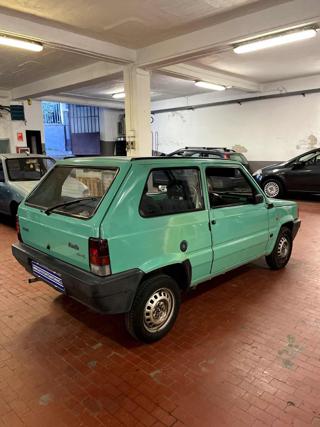 FIAT Panda usata 2