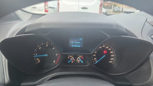 FORD Transit Connect usata, con Specchietti laterali elettrici