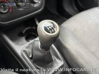 FIAT Punto usata, con Servosterzo
