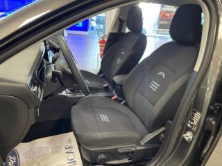 FORD Focus usata, con Cruise Control