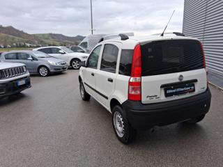 FIAT Panda usata, con Controllo trazione