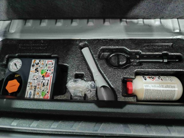 FORD EcoSport usata, con Immobilizzatore elettronico