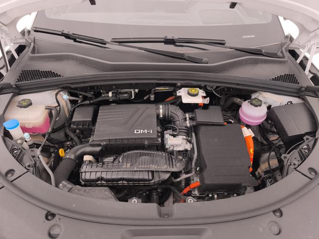 BYD Seal U usata, con Sensore di luce