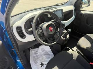 FIAT Panda usata, con ESP