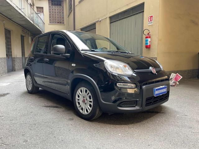 FIAT Panda usata, con Airbag Passeggero