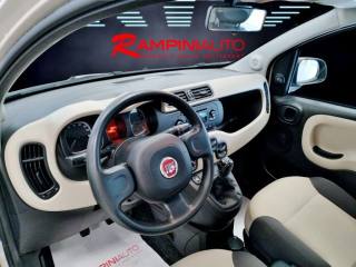 FIAT Panda usata 12