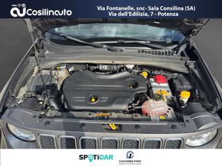 JEEP Renegade usata, con Volante in pelle