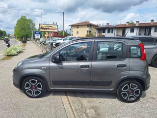 FIAT Panda usata 15