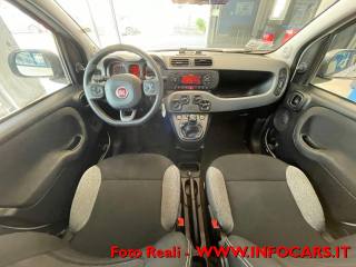 FIAT Panda usata, con Volante multifunzione