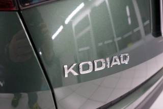 SKODA Kodiaq usata 37