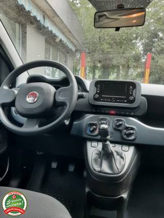 FIAT Panda usata, con Vivavoce