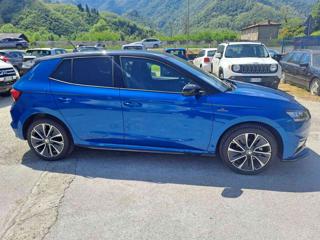 SKODA Fabia usata, con Fendinebbia