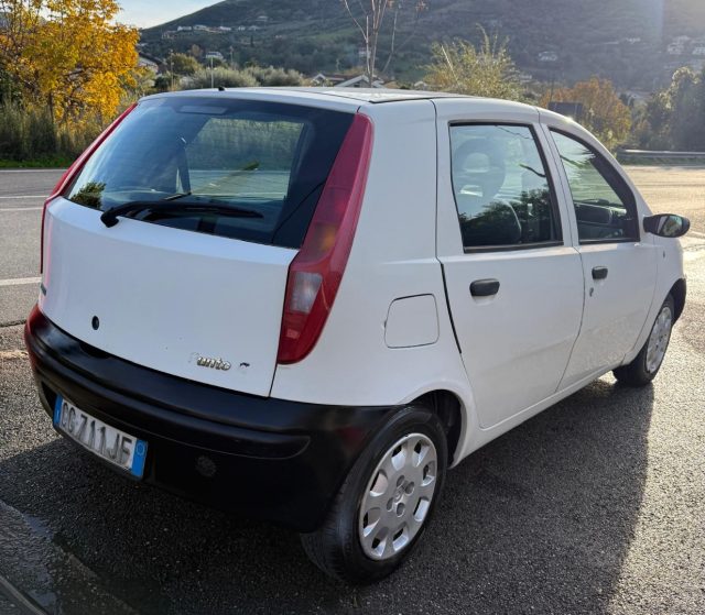 FIAT Punto usata 6