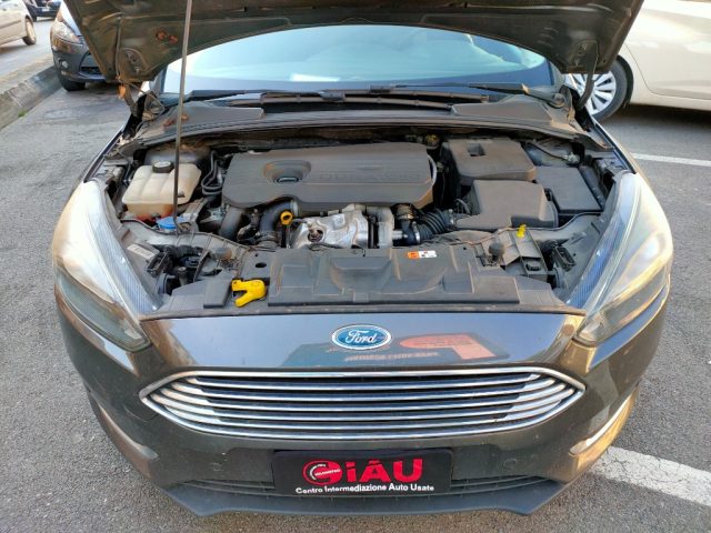 FORD Focus usata, con Servosterzo