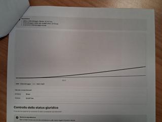 ALFA ROMEO Stelvio usata 39