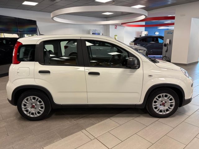 FIAT Panda usata, con USB
