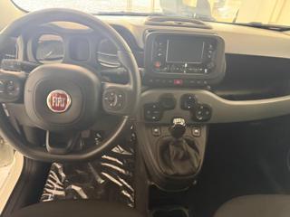 FIAT Panda usata, con Boardcomputer