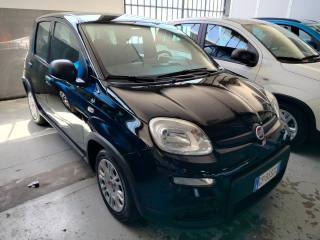 FIAT Panda usata, con Airbag Passeggero