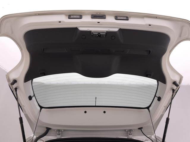 CITROEN C3 usata, con Autoradio digitale