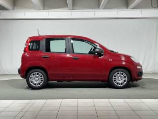 FIAT Panda usata, con Climatizzatore