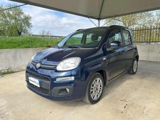 FIAT Panda usata 60