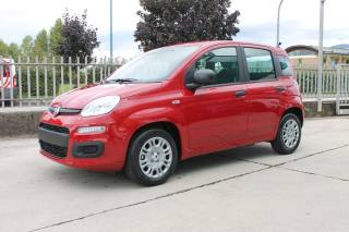 FIAT Panda usata, con Airbag Passeggero