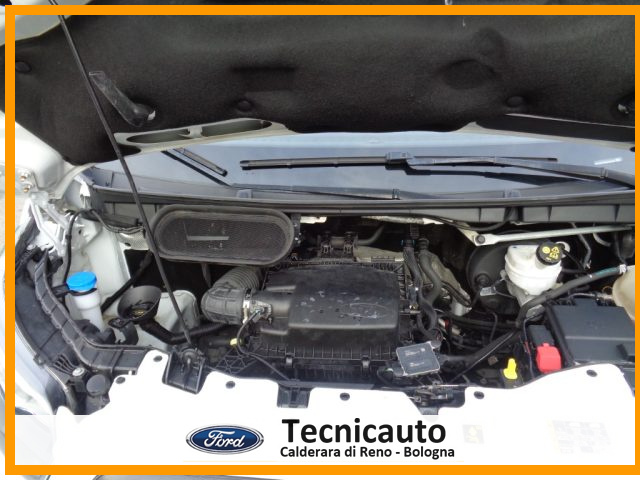 FORD Transit usata 15