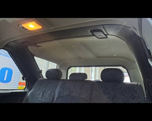 LAND ROVER Freelander usata 13