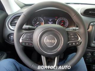 JEEP Renegade usata, con Climatizzatore