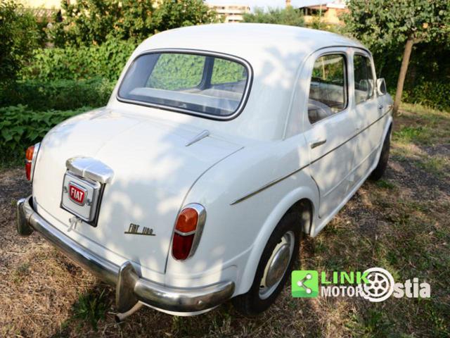FIAT 1100 usata 38