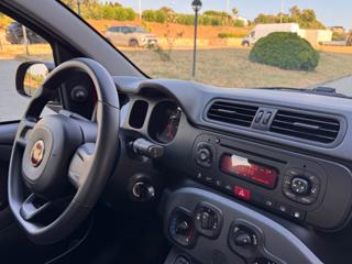 FIAT Panda usata 19