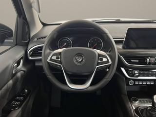 FOTON Tunland G7 usata, con Fendinebbia