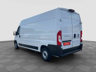 FIAT Ducato usata 2