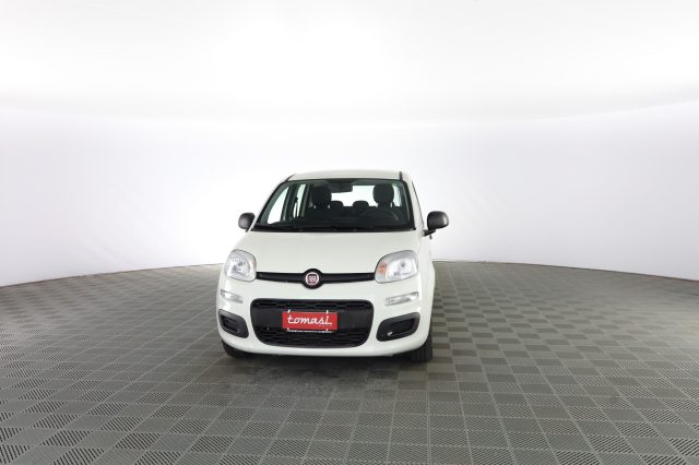 FIAT Panda usata 0
