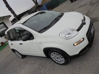 FIAT Panda usata 16