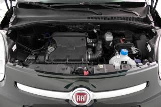 FIAT 500L usata, con Cruise Control