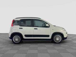 FIAT Panda usata 5