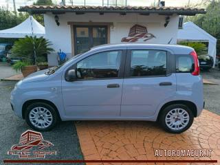 FIAT Panda usata, con Airbag