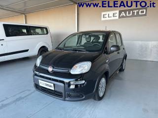 FIAT Panda usata, con Airbag Passeggero